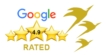 google-rating-scope-india